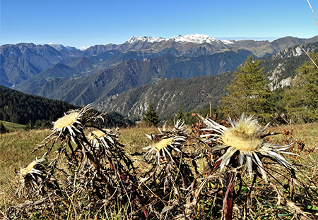 Anello del PIZZO BADILE (2044 m) da Piazzatorre l’8 ottobre 2020 - FOTOGALLERY